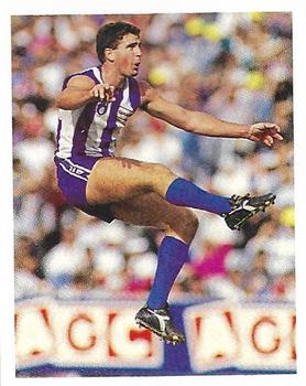 1993 Select AFL Stickers #183 Craig Sholl Front